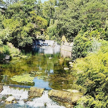 Villa En Pleine Nature Le Muy Ngoại thất bức ảnh